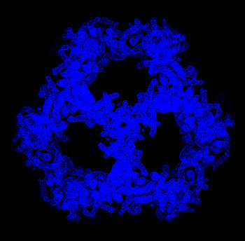 Single particle map of pyruvate  dehydrogenase E2 enzyme